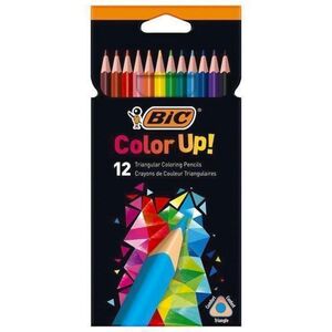 BIC LAPICES DE COLORES 12 INTENSIT