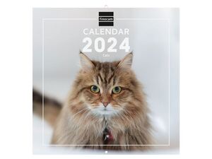 FINOCAM CALENDARIO PARAD CATS 2024