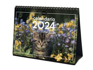 FINOCAM CALENDARIO SOBREMESA GATITOS ENTRAÑABLES 2024