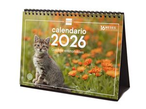 2026 * CALENDARIO SOBREMESA GATITOS