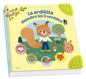 LA ARDILLITA DESCUBRE 5 SENTIDOS