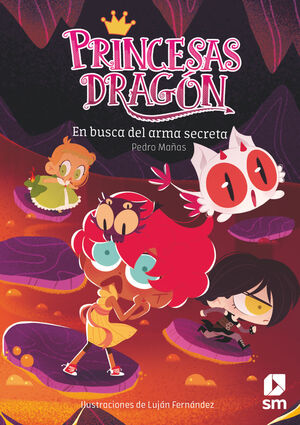 PRINCESAS DRAGON 13 - EN BUSCA DEL ARMA SECRETA