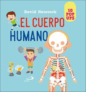 EL CUERPO HUMANO POP-UP